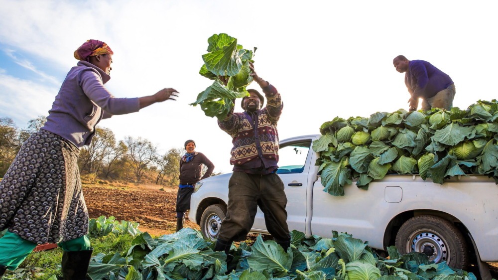 Harry Gwala Agri